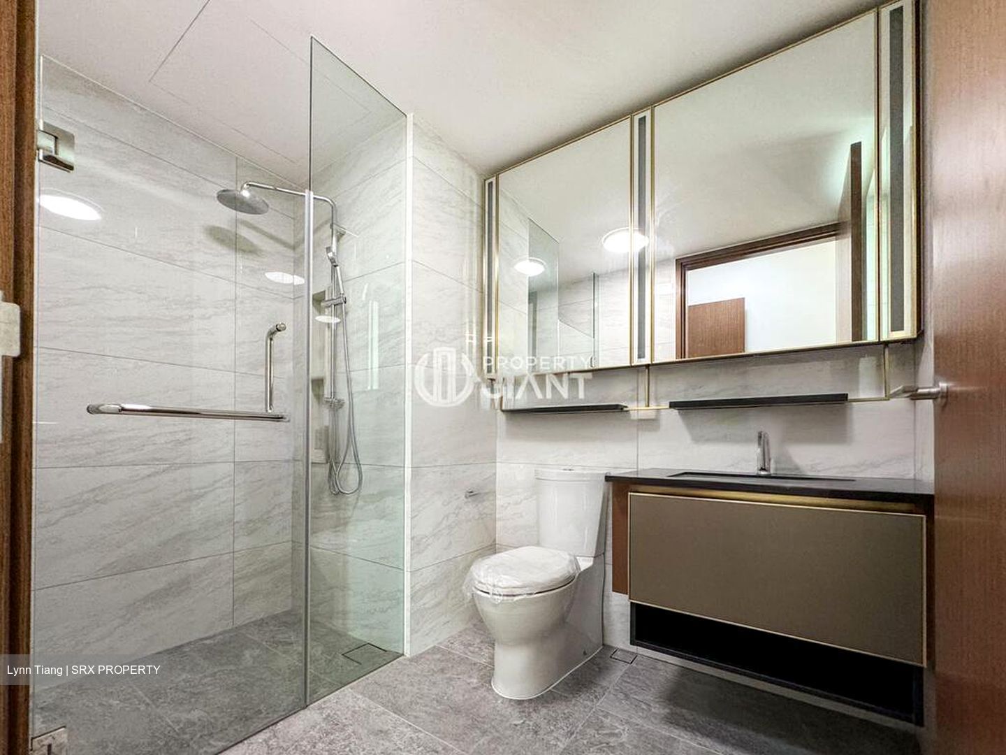 Normanton Park (D5), Apartment #460396921